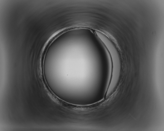 X0000086040792200704131933