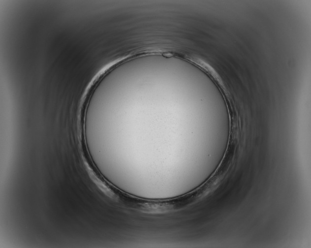 X0000086040795200704131933