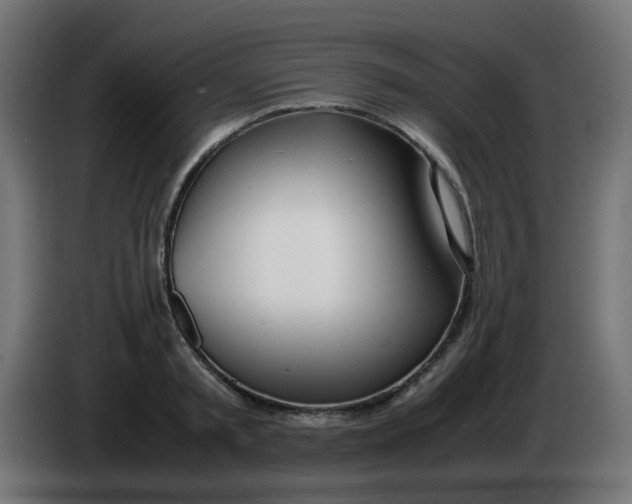 X0000086040797200704131933