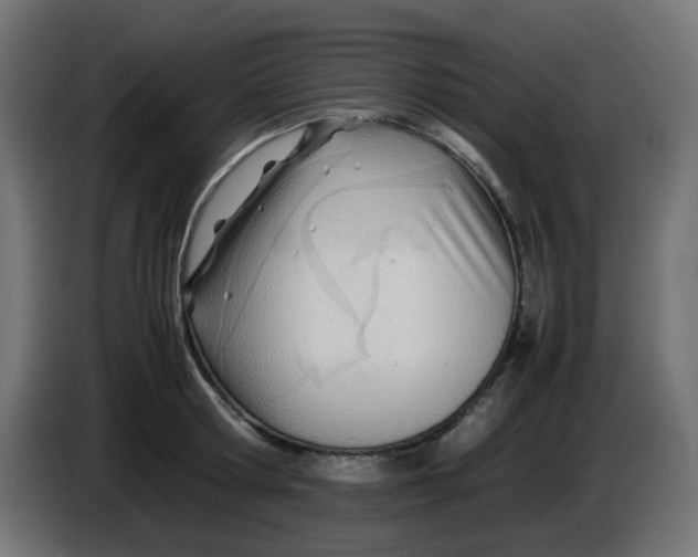 X0000086040802200704131933