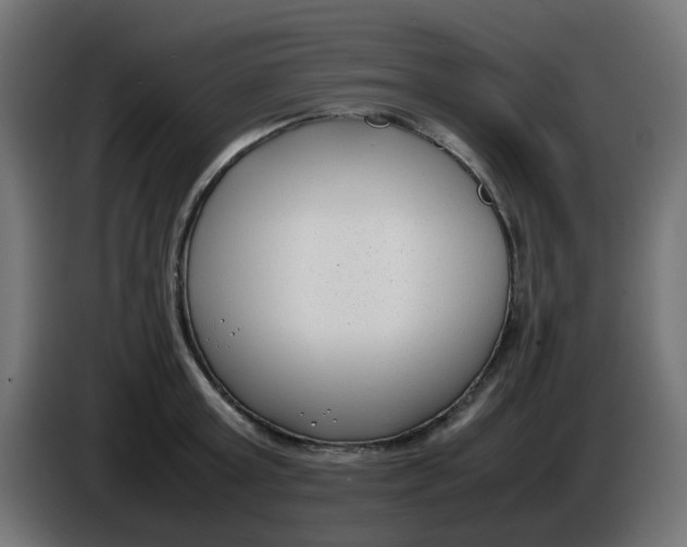 X0000086040803200704131933