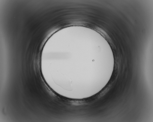 X0000086040804200704131933