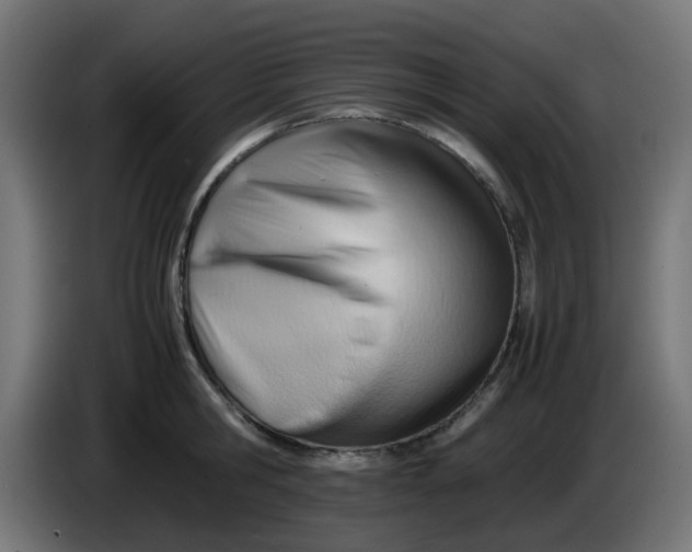 X0000086040806200704131933
