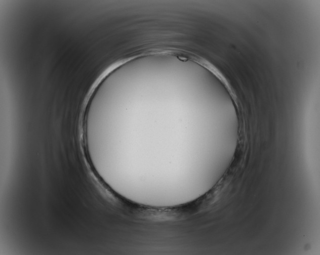 X0000086040811200704131933