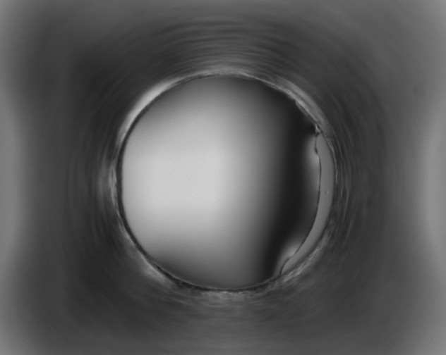 X0000086040812200704131933