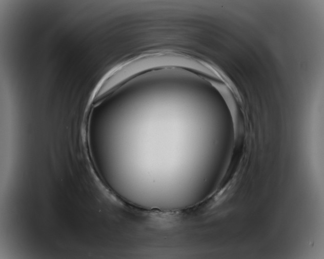 X0000086040813200704131933