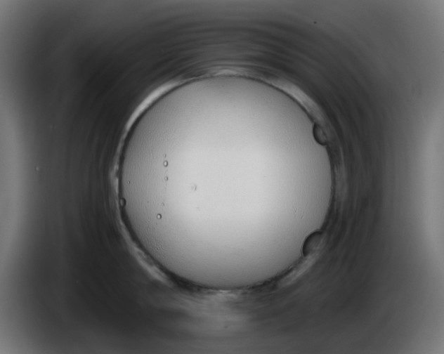 X0000086040814200704131933