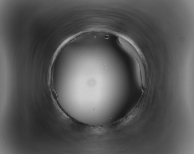 X0000086040815200704131933