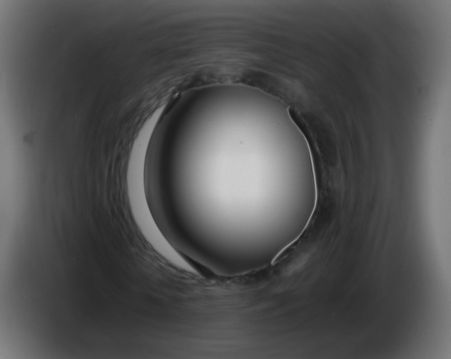 X0000086040818200704131932