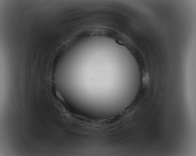X0000086040819200704131932