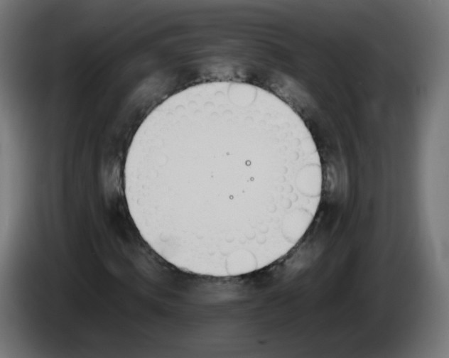 X0000086040820200704131932