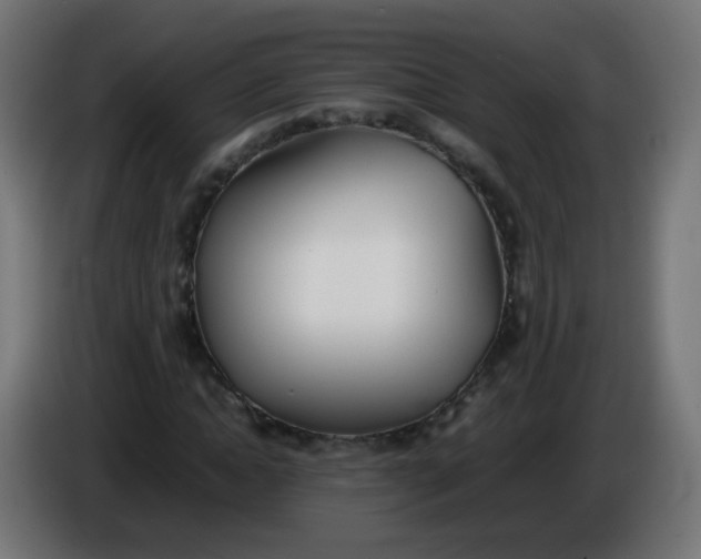 X0000086040822200704131933