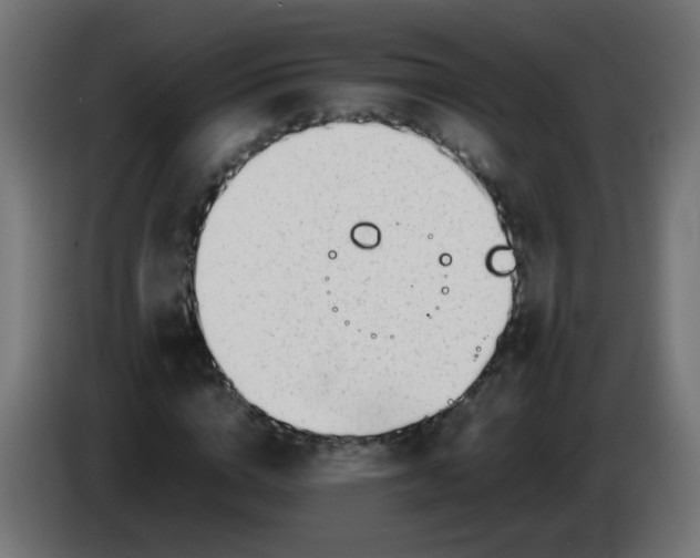 X0000086040824200704131933