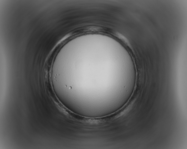 X0000086040827200704131933