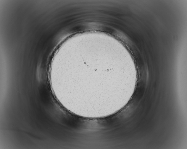 X0000086040828200704131933
