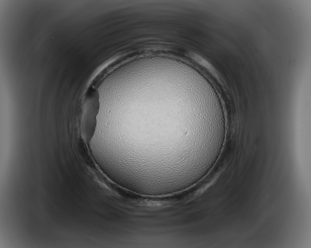 X0000086040829200704131933