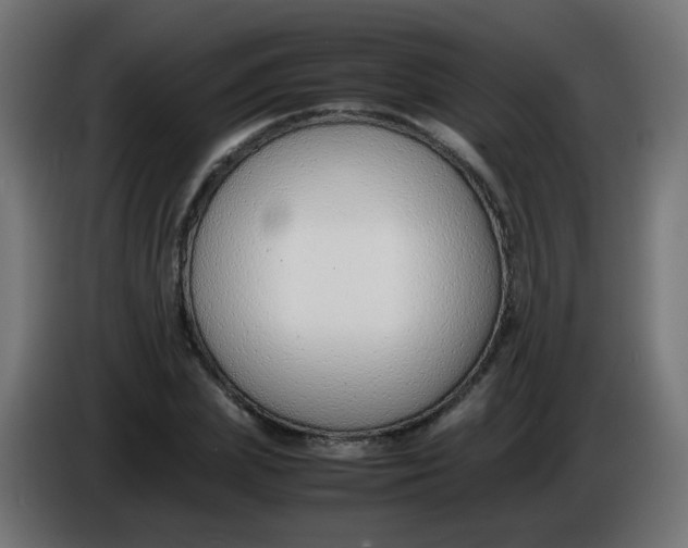 X0000086040831200704131933