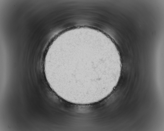 X0000086040832200704131933