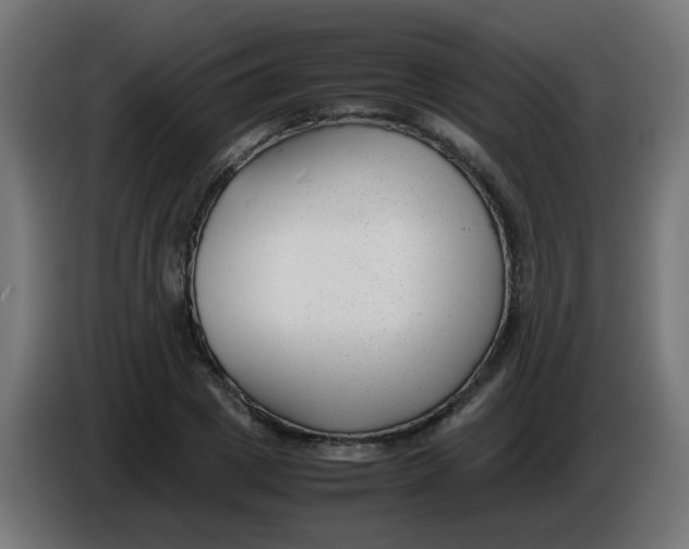 X0000086040833200704131933