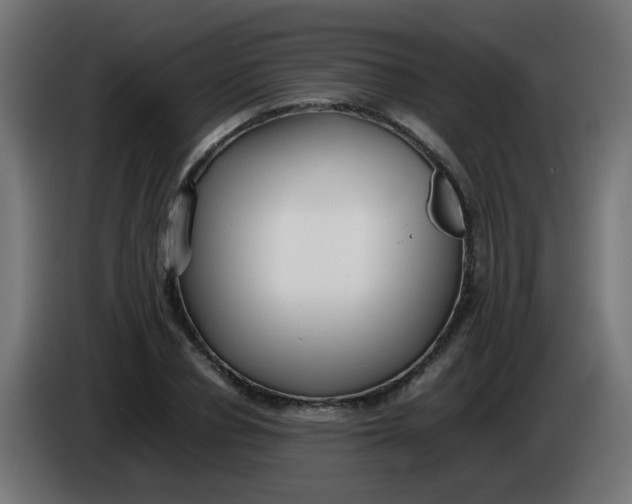 X0000086040834200704131933