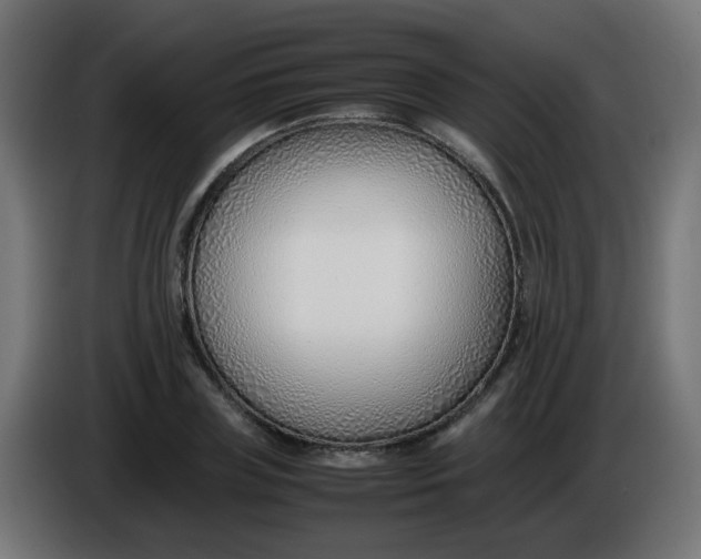 X0000086040835200704131933