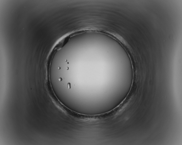 X0000086040838200704131933