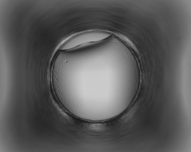 X0000086040839200704131933