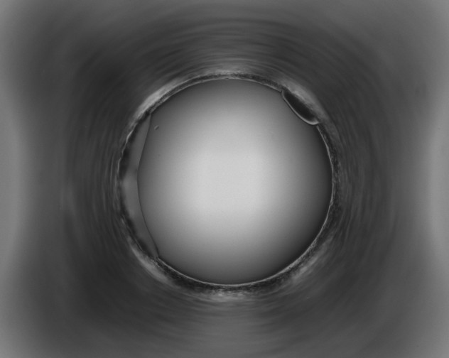 X0000086040842200704131933