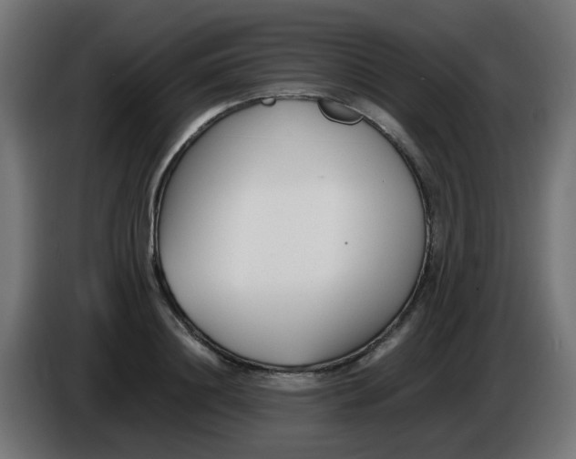 X0000086040844200704131933