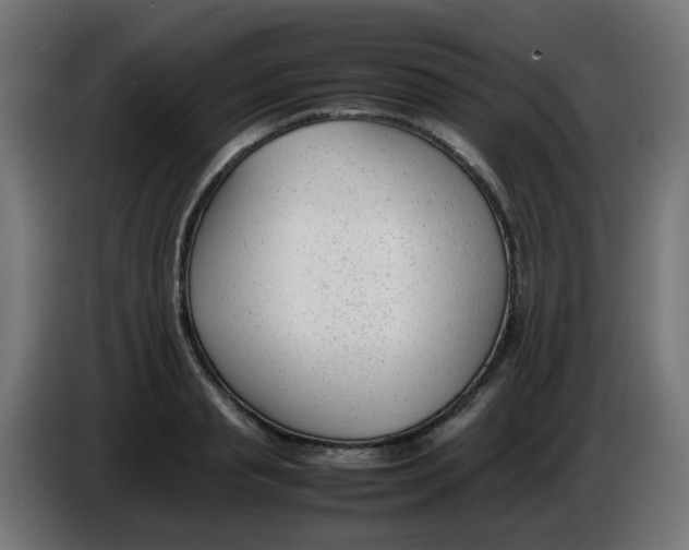 X0000086040845200704131933