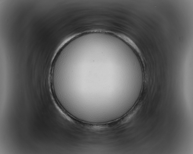 X0000086040847200704131933