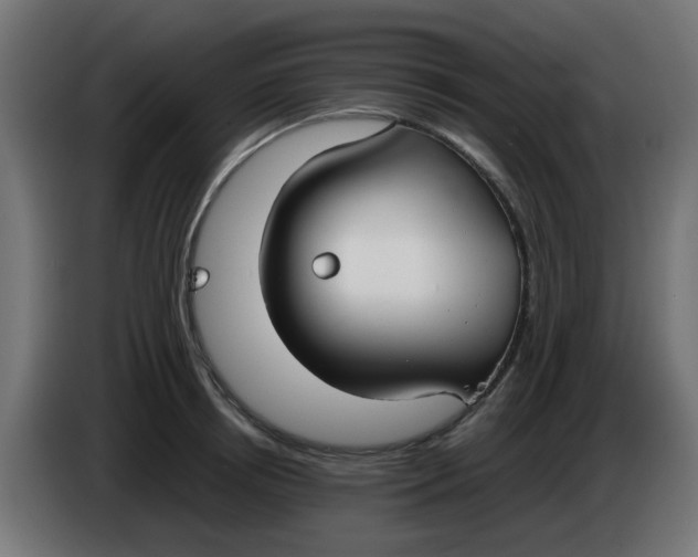 X0000086040850200704131933
