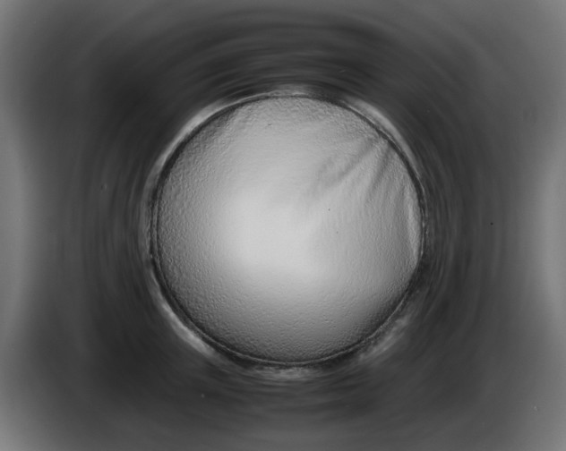 X0000086040851200704131933
