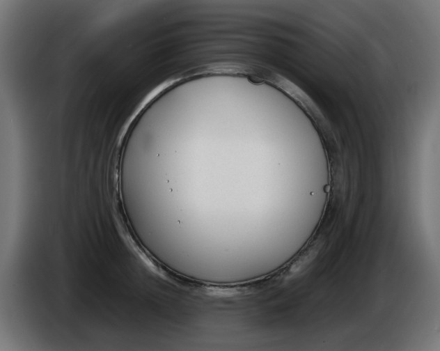 X0000086040852200704131933
