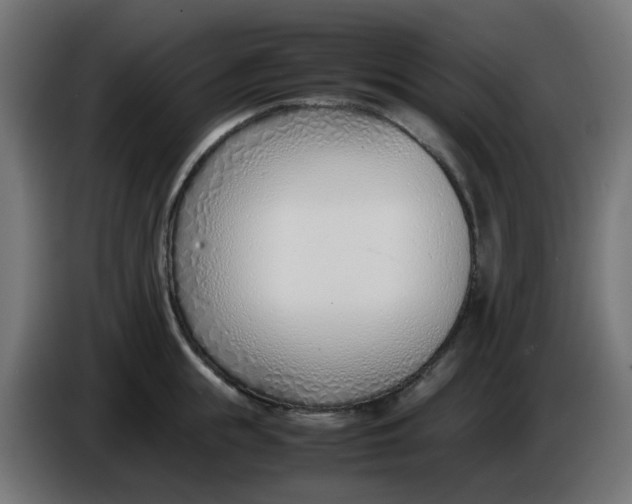 X0000086040855200704131933