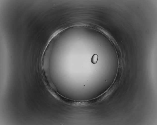 X0000086040858200704131933