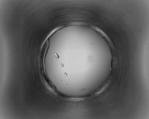 X0000086040860200704131933