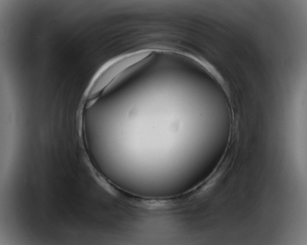 X0000086040862200704131933