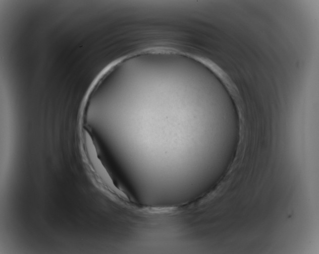 X0000086040864200704131933