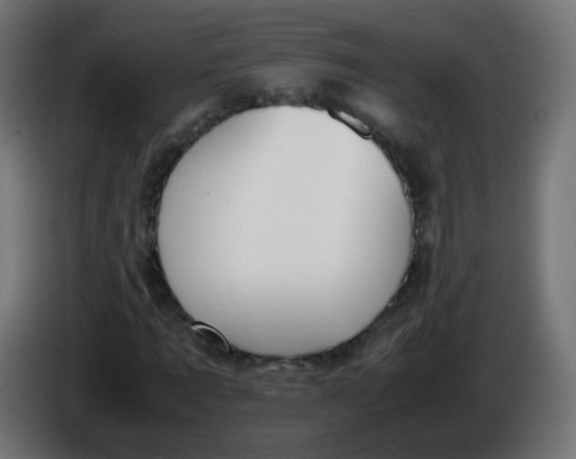 X0000086040869200704131932