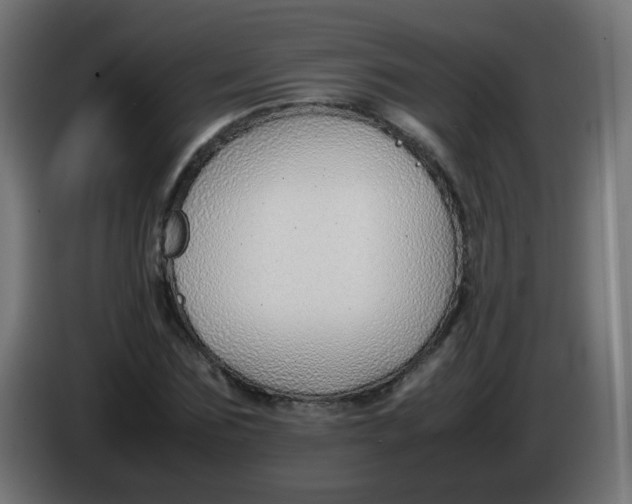 X0000086040875200704131932