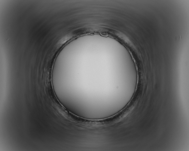 X0000086040881200704131932