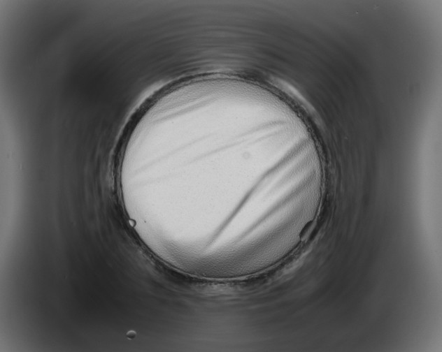 X0000086040883200704131932