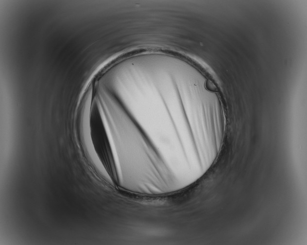 X0000086040887200704131932