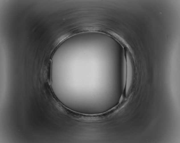 X0000086040889200704131932