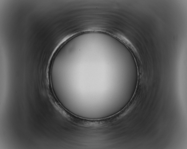 X0000086040892200704131932