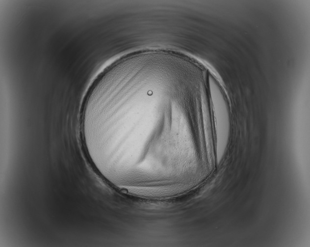 X0000086040895200704131932