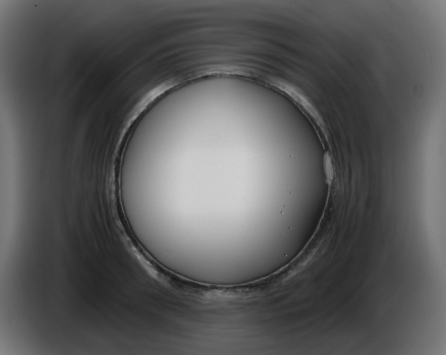 X0000086040898200704131932
