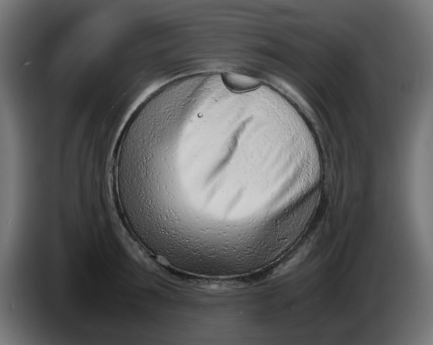 X0000086040899200704131932