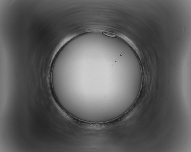 X0000086040901200704131932